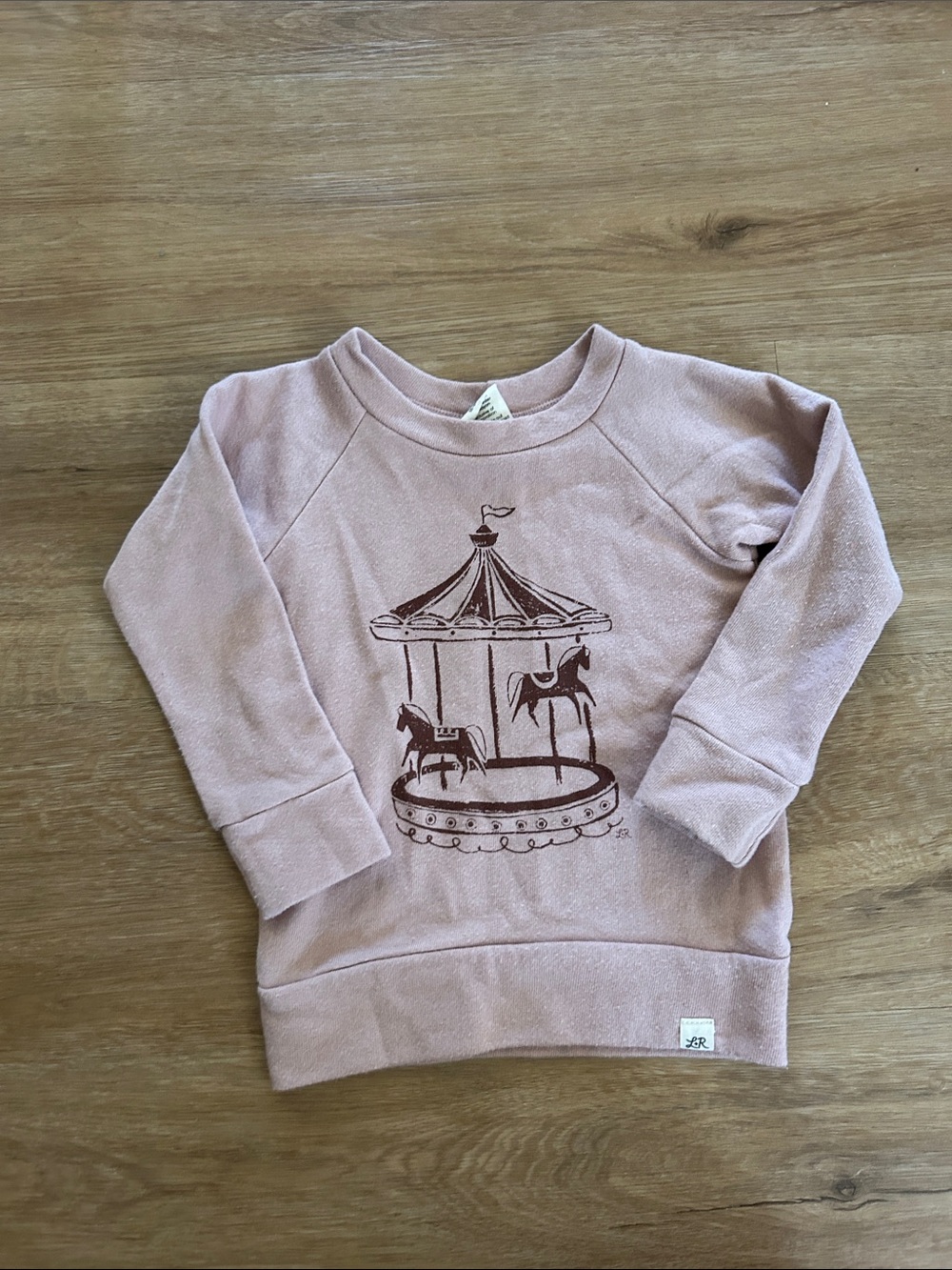 Girls Long-Sleeve Pink Carousel Sweatshirt